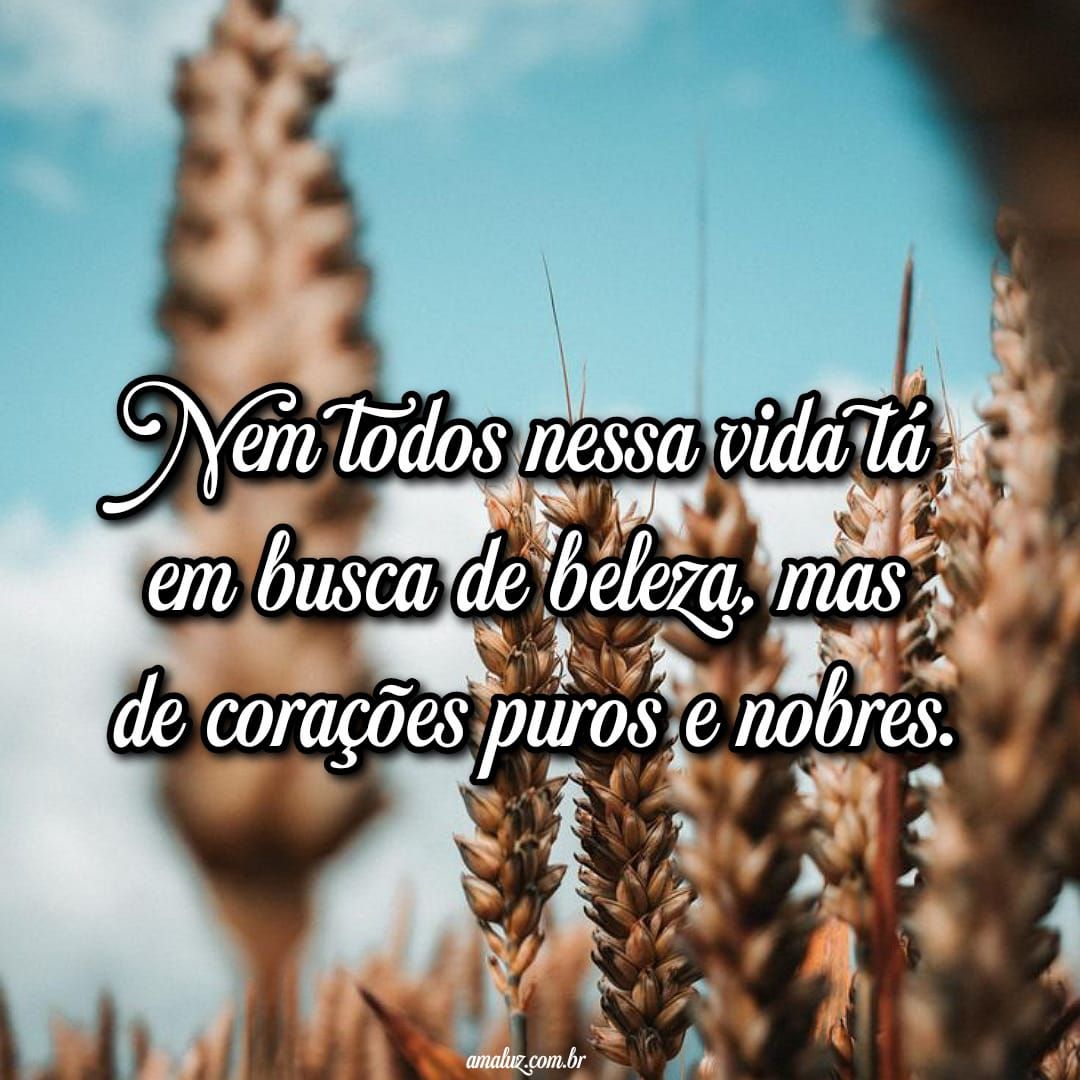 Imagens para status do whatsapp