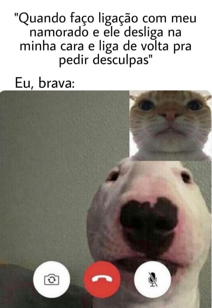 Memes de namorados