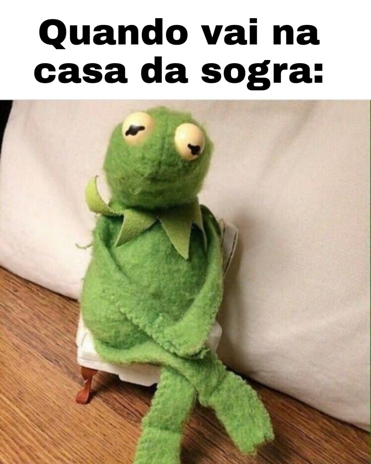 Memes engraçados de sogra