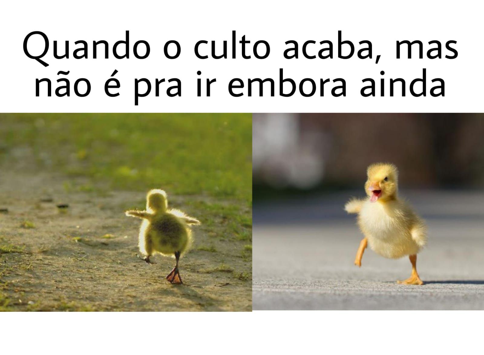 Memes engraçados pentecostal