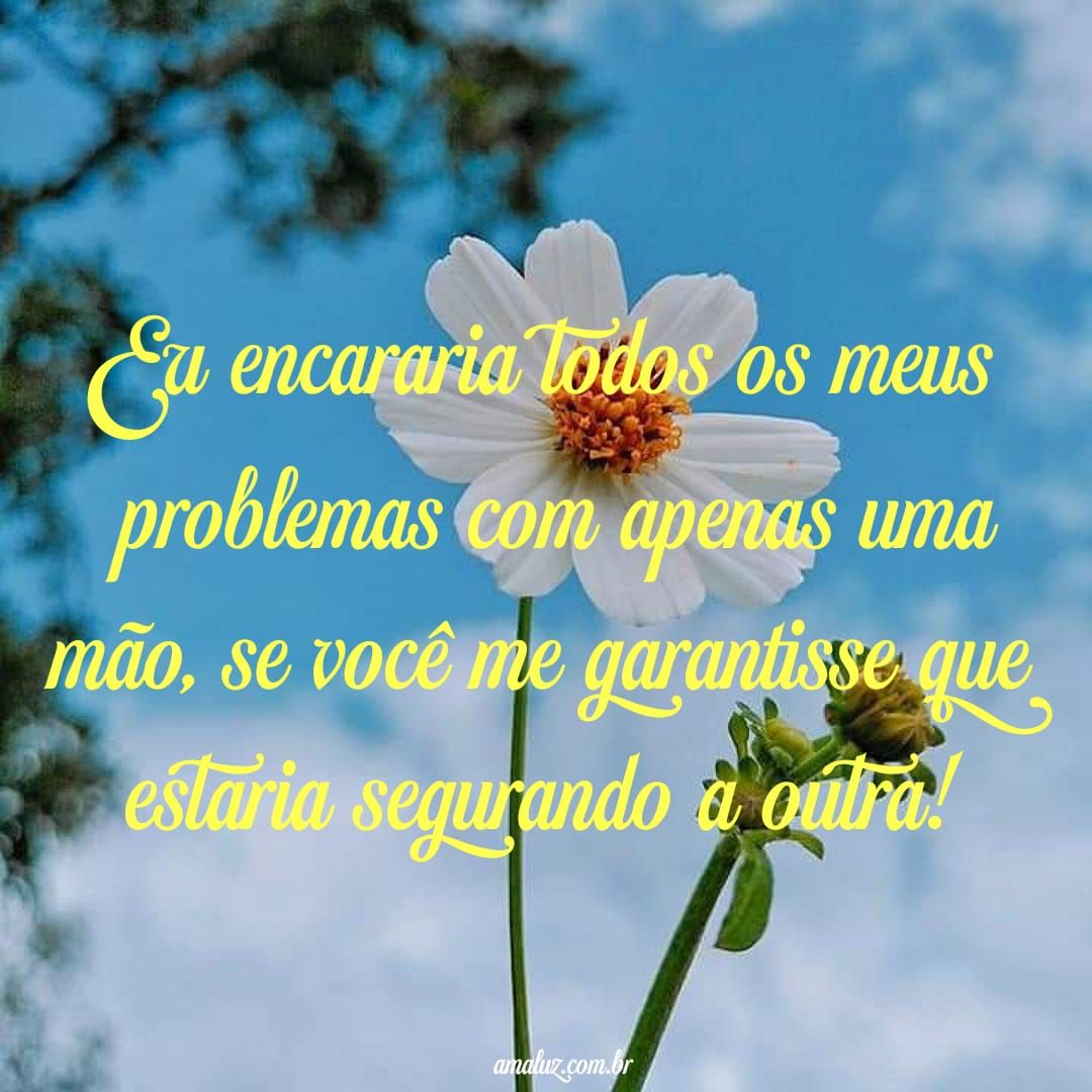 Mensagens com imagens de flores