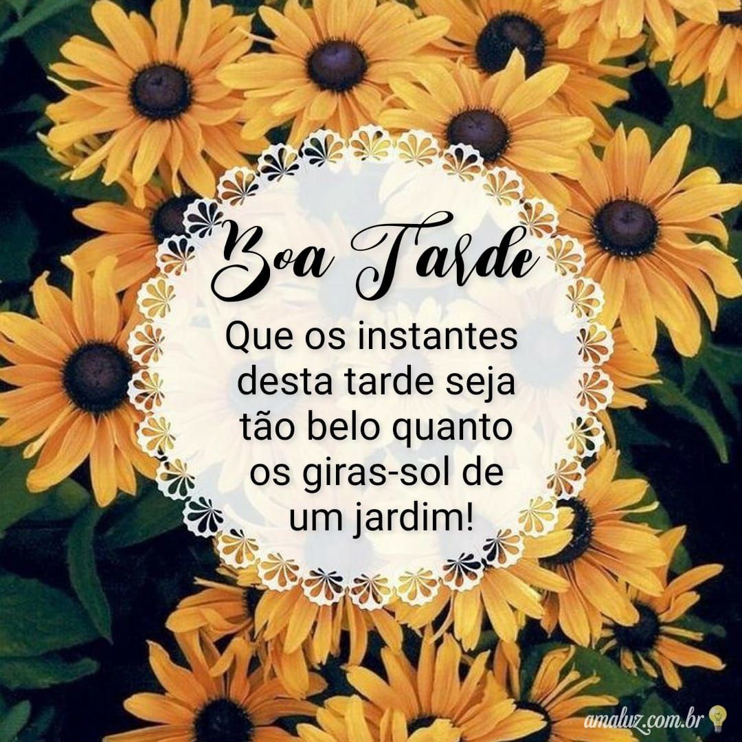 40 Imagens de Boa Tarde com Flores Gifs e Mensagens de Paz