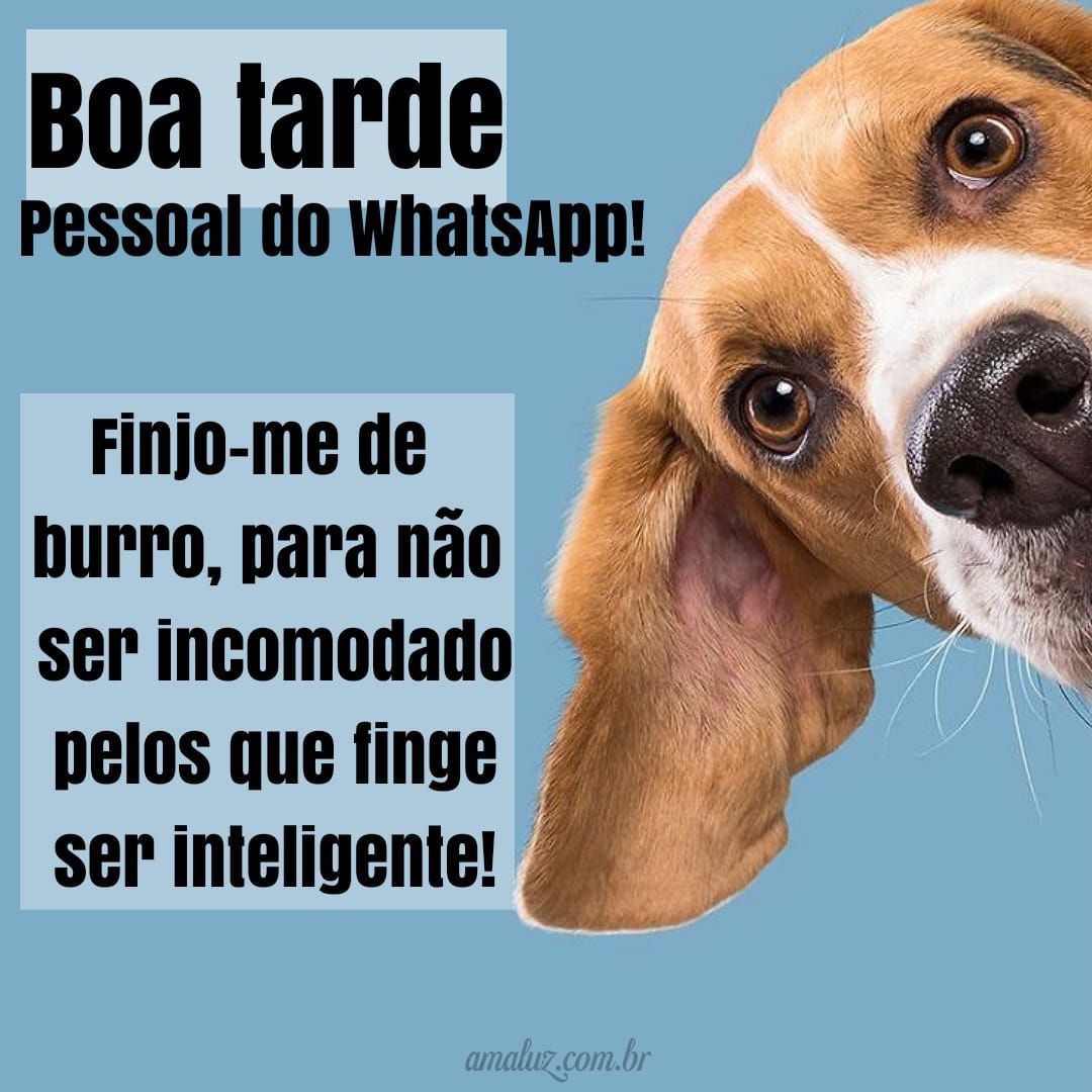 Mensagens de boa tarde para grupo do whatsapp