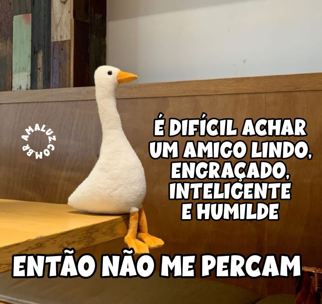 Mensagens divertidas para status do whatsapp