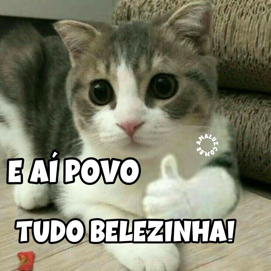 Mensagens engraçadas para grupos do whatsapp