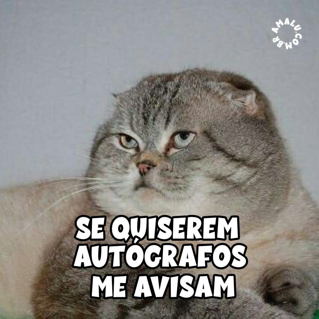 Mensagens engraçadas para grupos