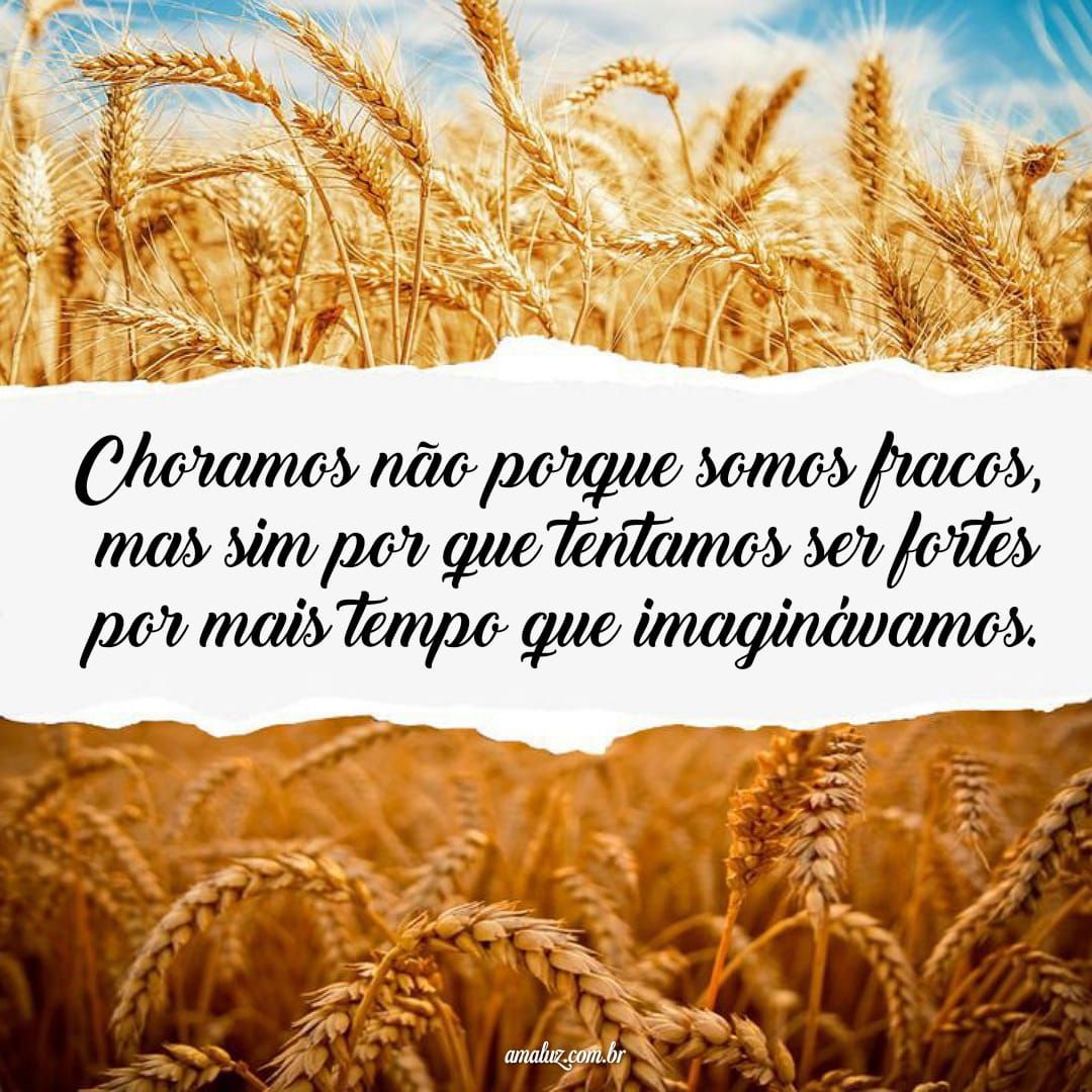 Mensagens tristes para por nos status