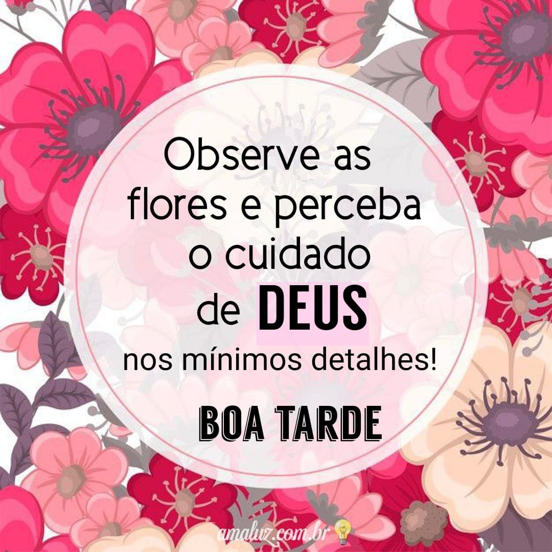 Observe as flores e os cuidados de Deus, boa tarde