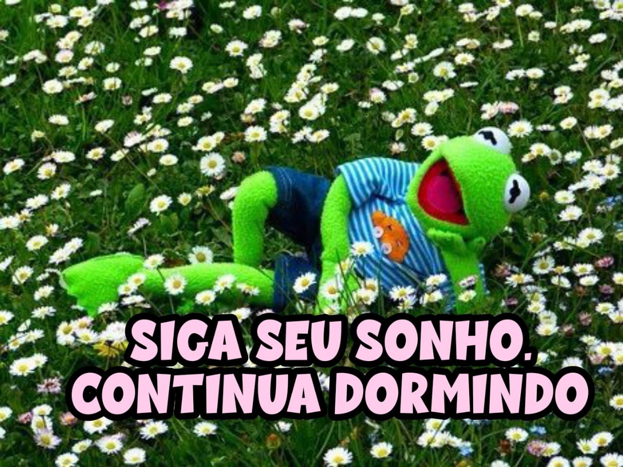 Siga seu sonho e continua dormindo