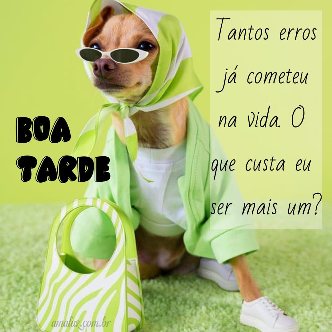 Tarde com humor inteligente