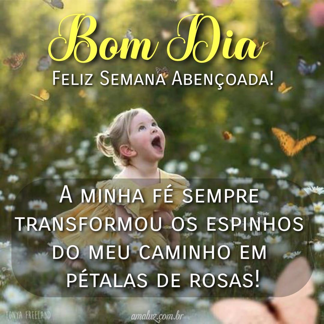 Abençoada semana bom dia
