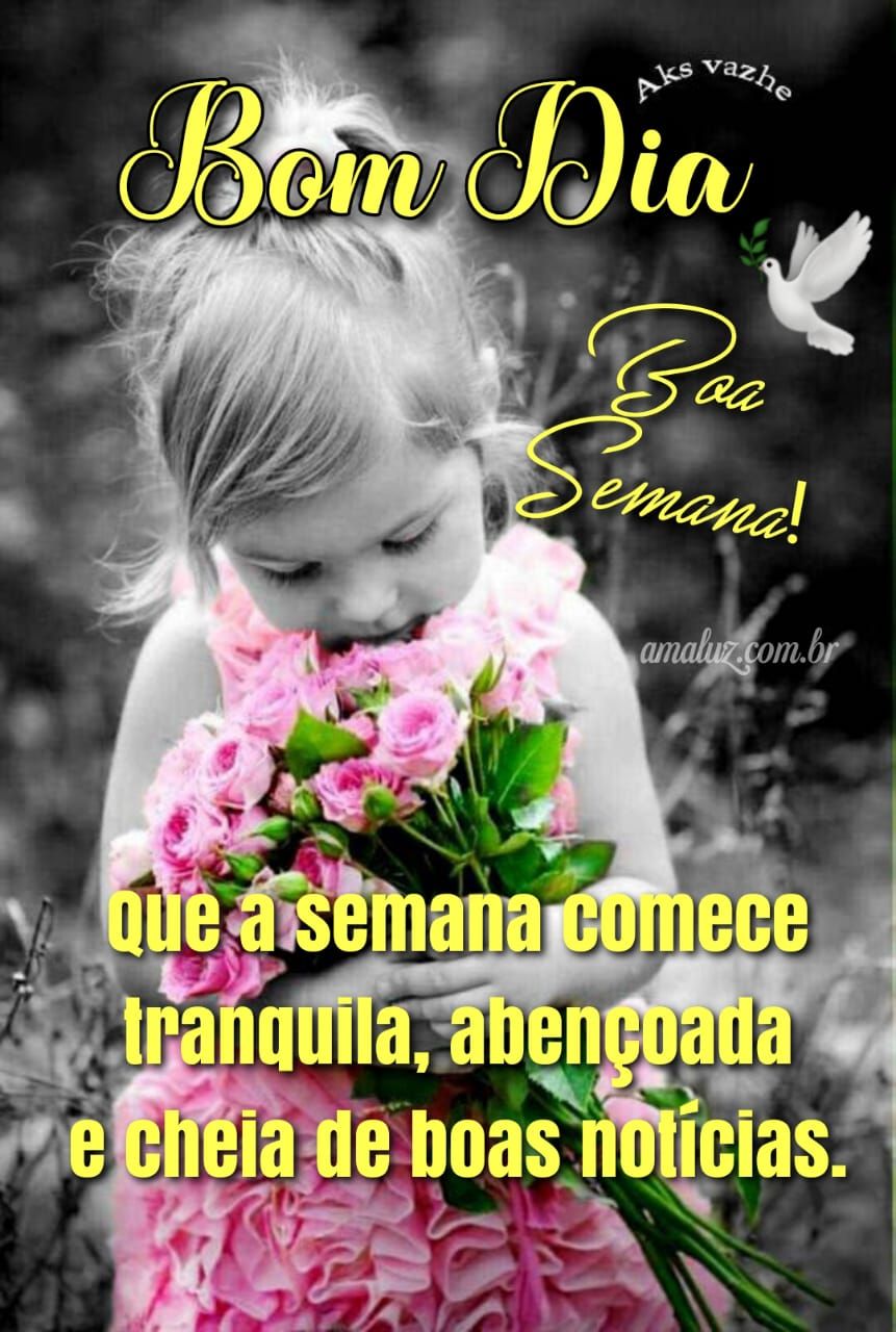 Boa semana e bom dia para whatsapp