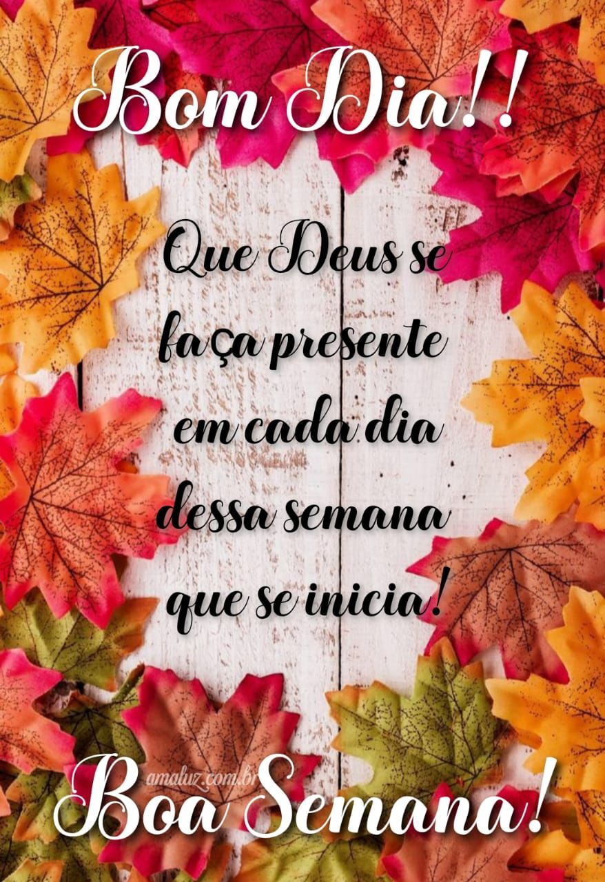 Bom dia com uma boa semana