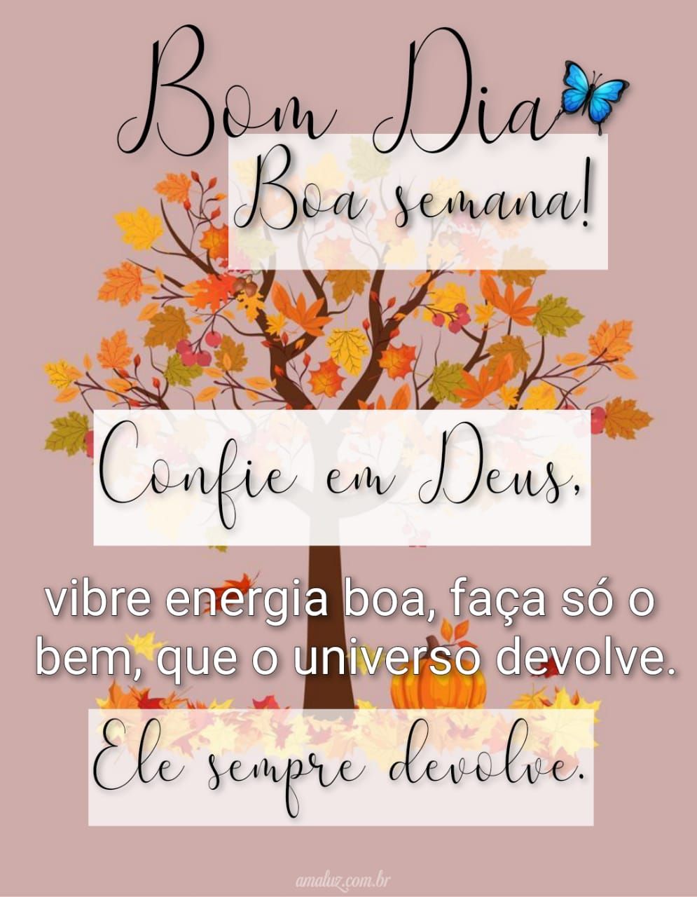 Bom dia e uma boa semana junto a Deus