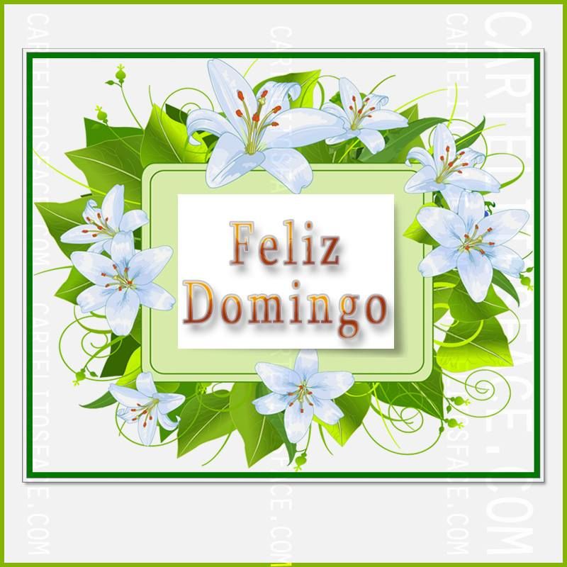 Bom dia feliz domingão