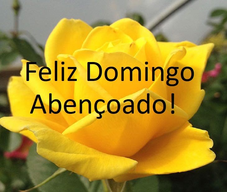 Bom dia feliz domingo!