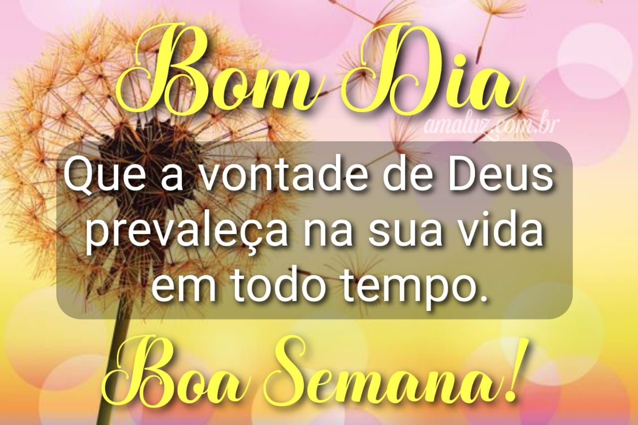 Bom dia mais uma semana junto de Deus