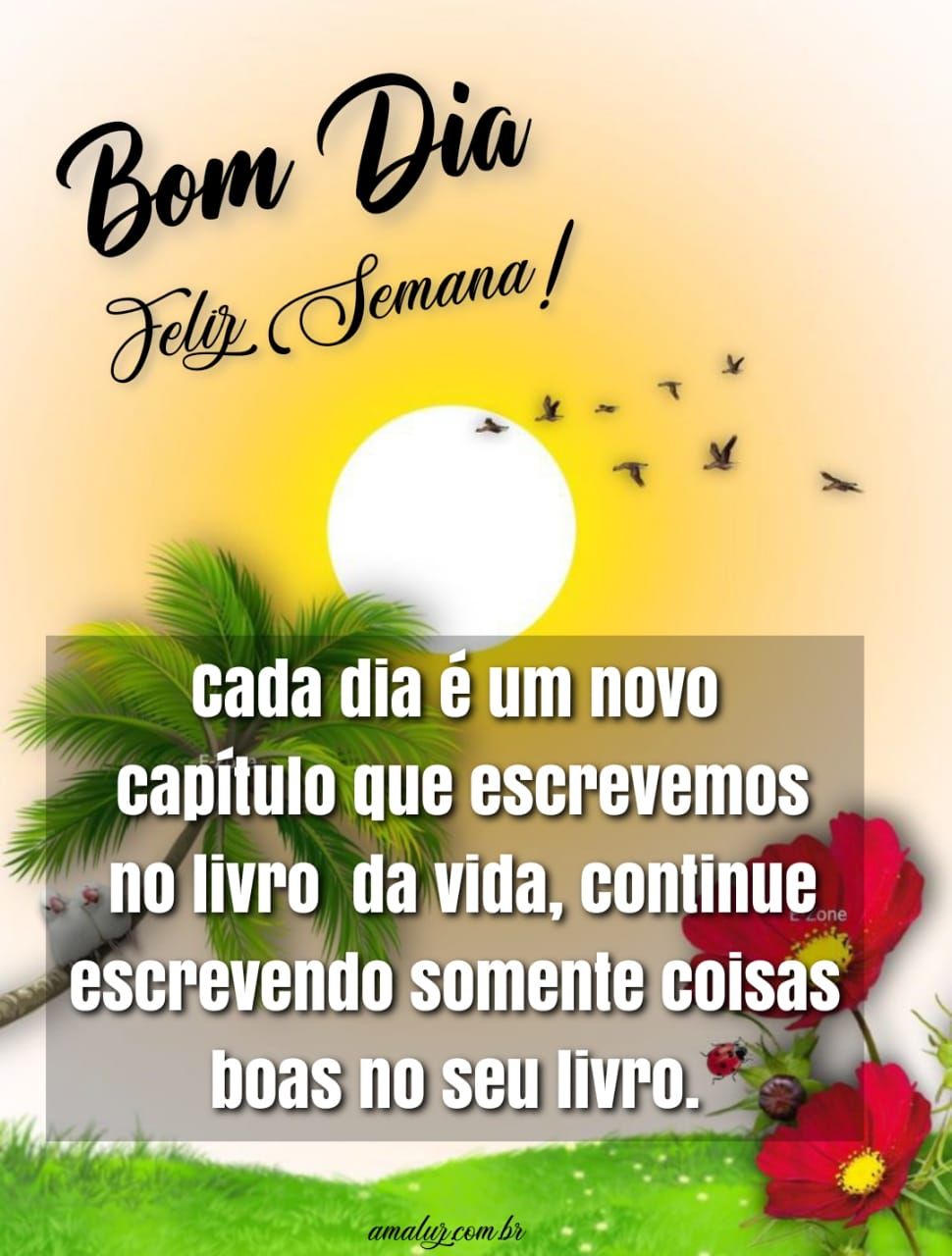 Bom dia nova semana