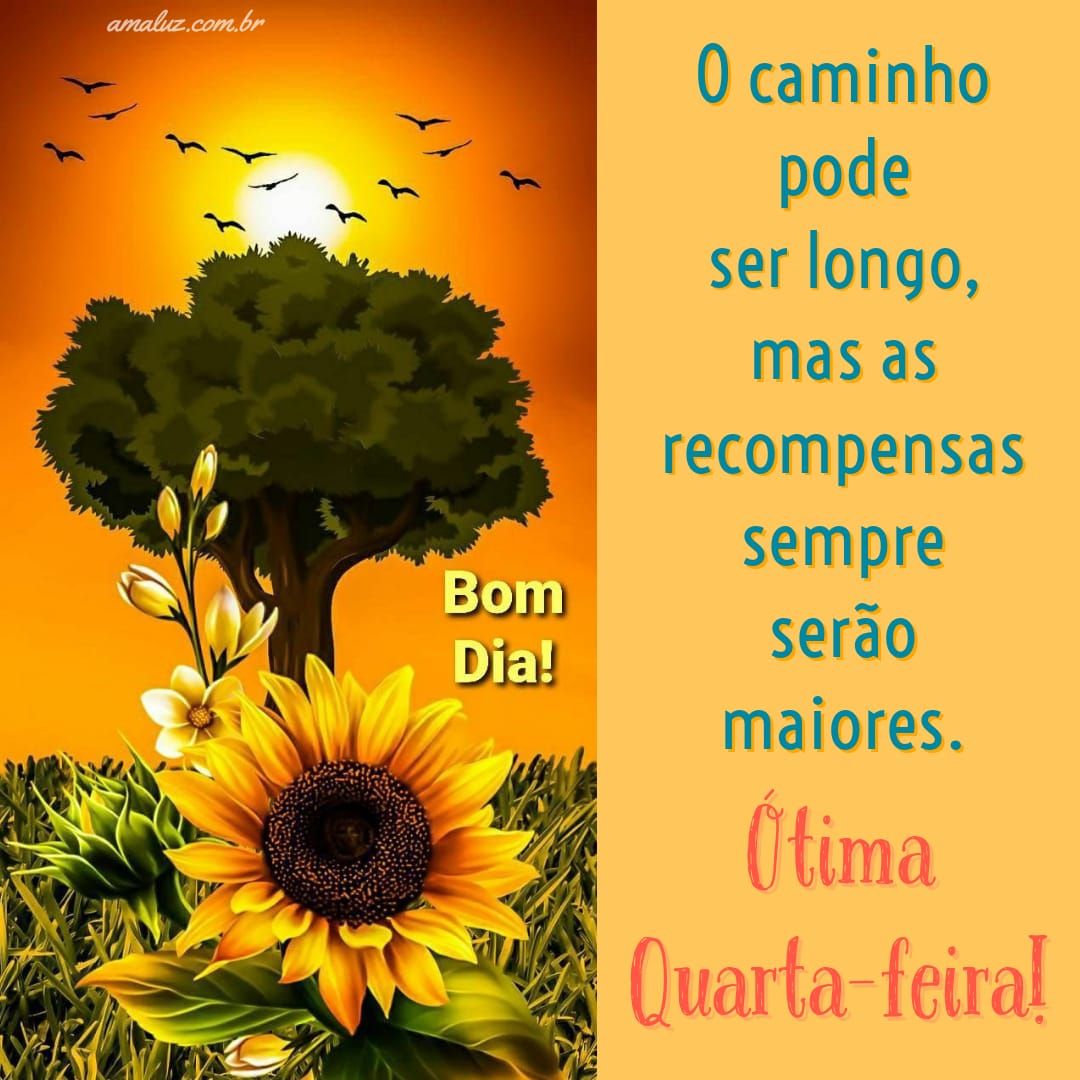 Bom dia ótima quarta feira