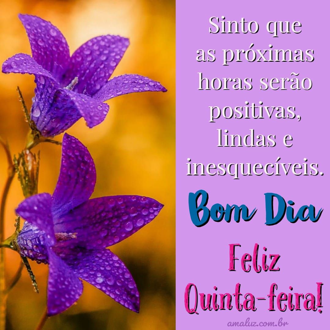 Boa Quinta Feira! 28 Fotos com Mensagens de Motivação