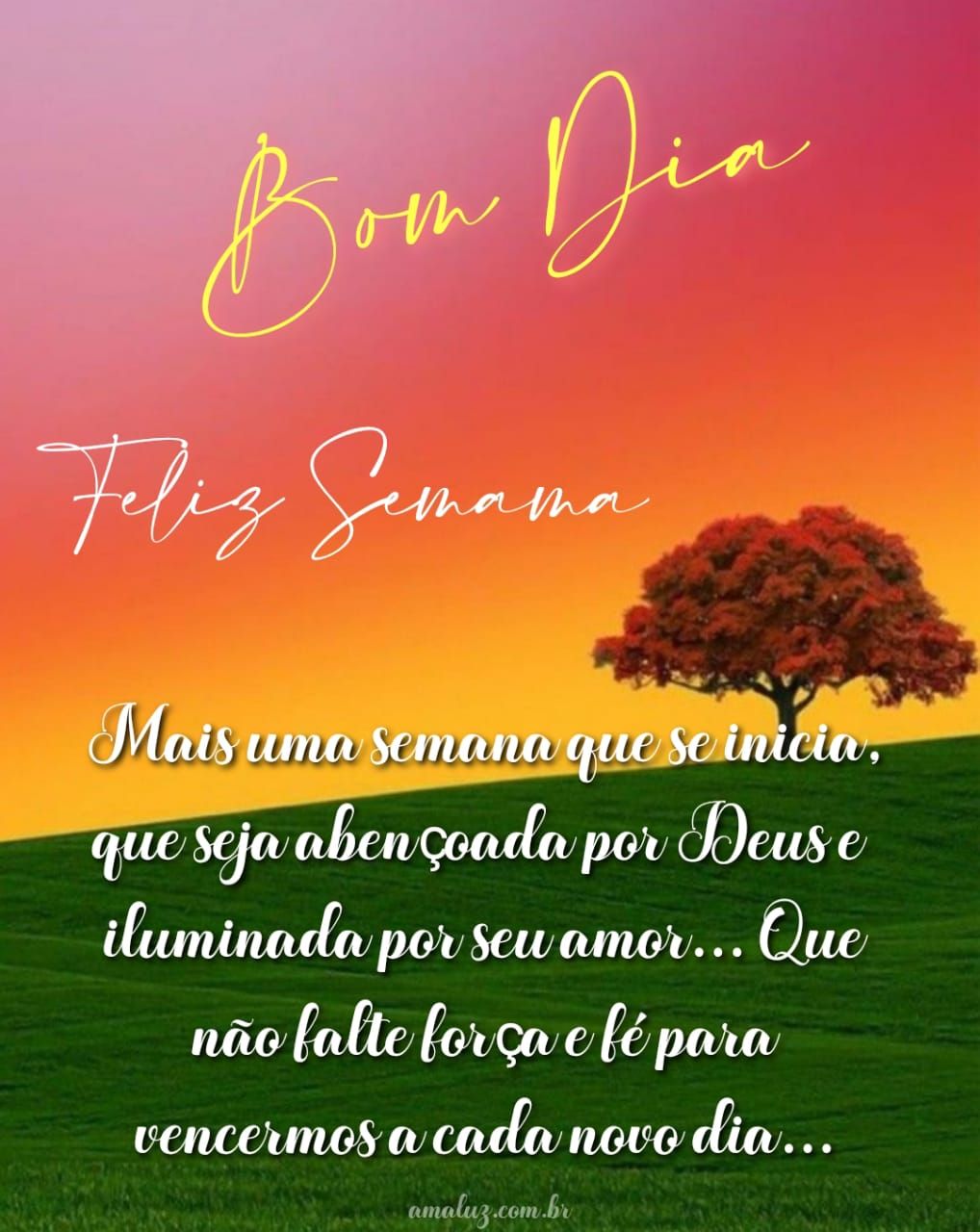 Bom-dia-semana-abencoada-por-Deus