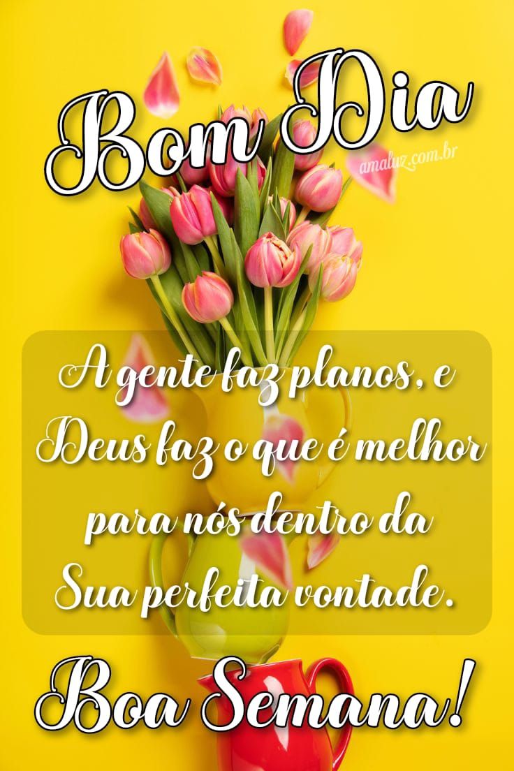 Bom dia te desejo uma boa semana