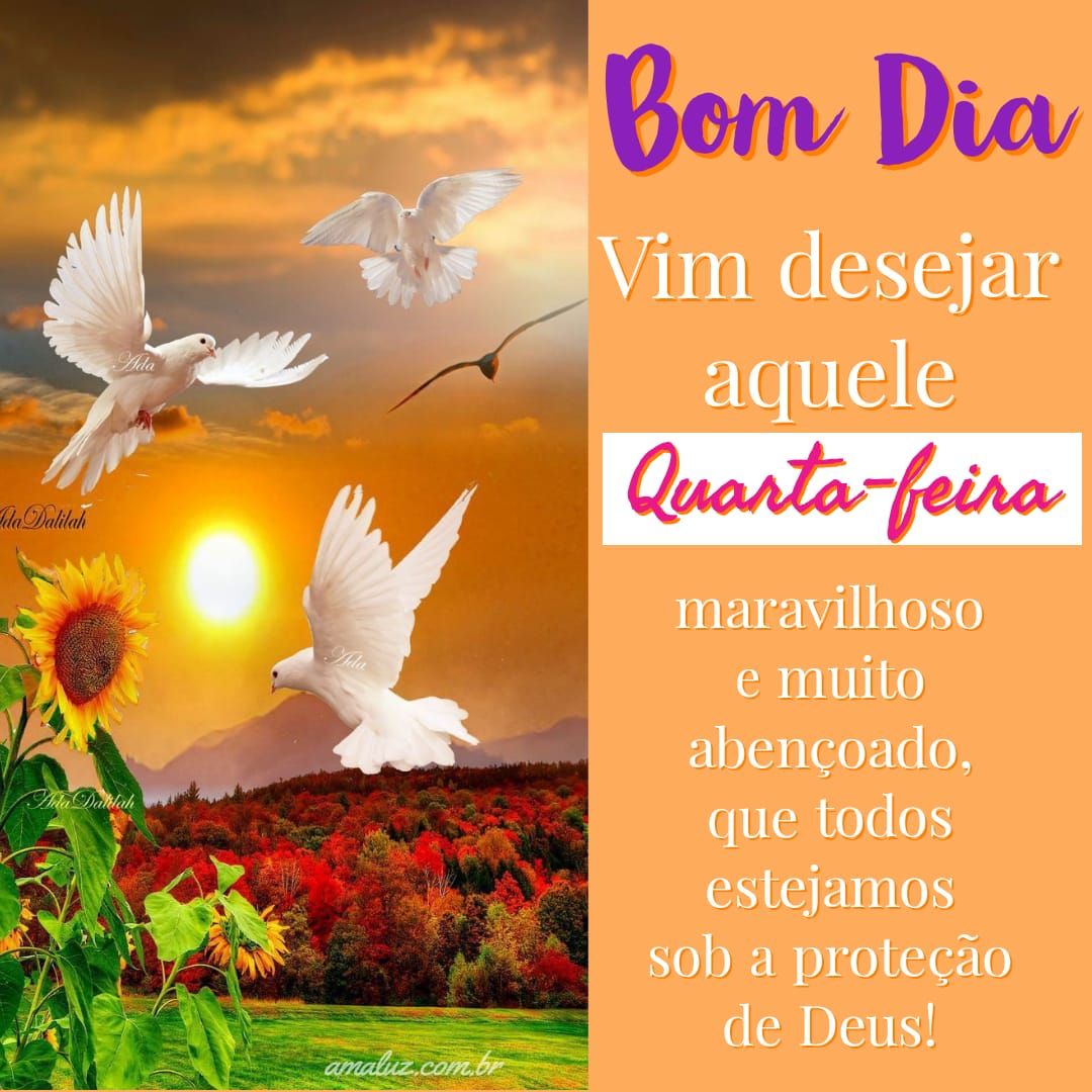 Bom dia vim desejar uma feliz quarta feira