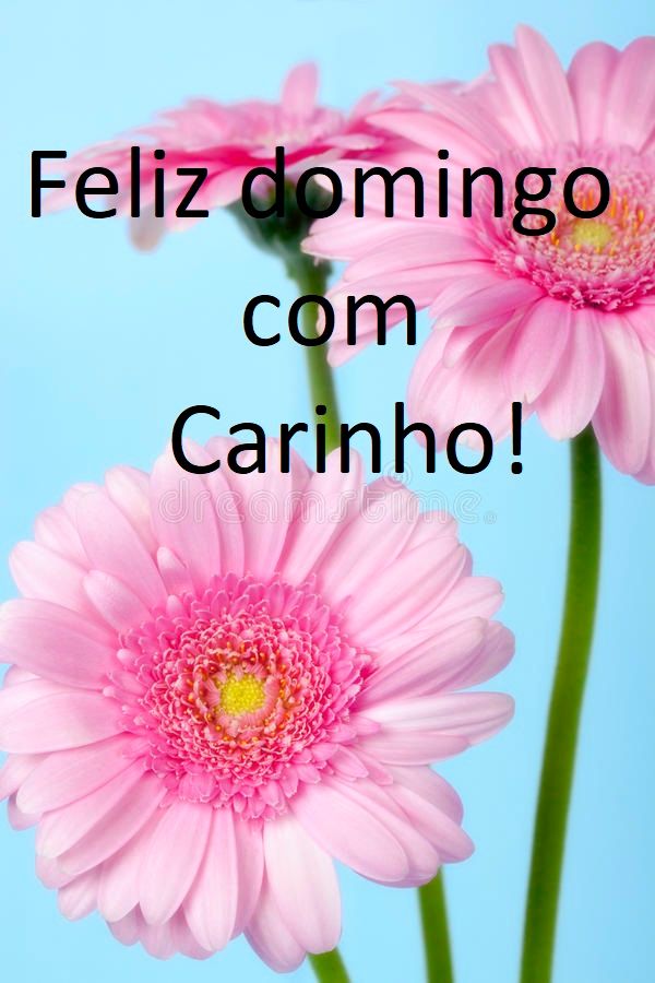 Bom e feliz domingo