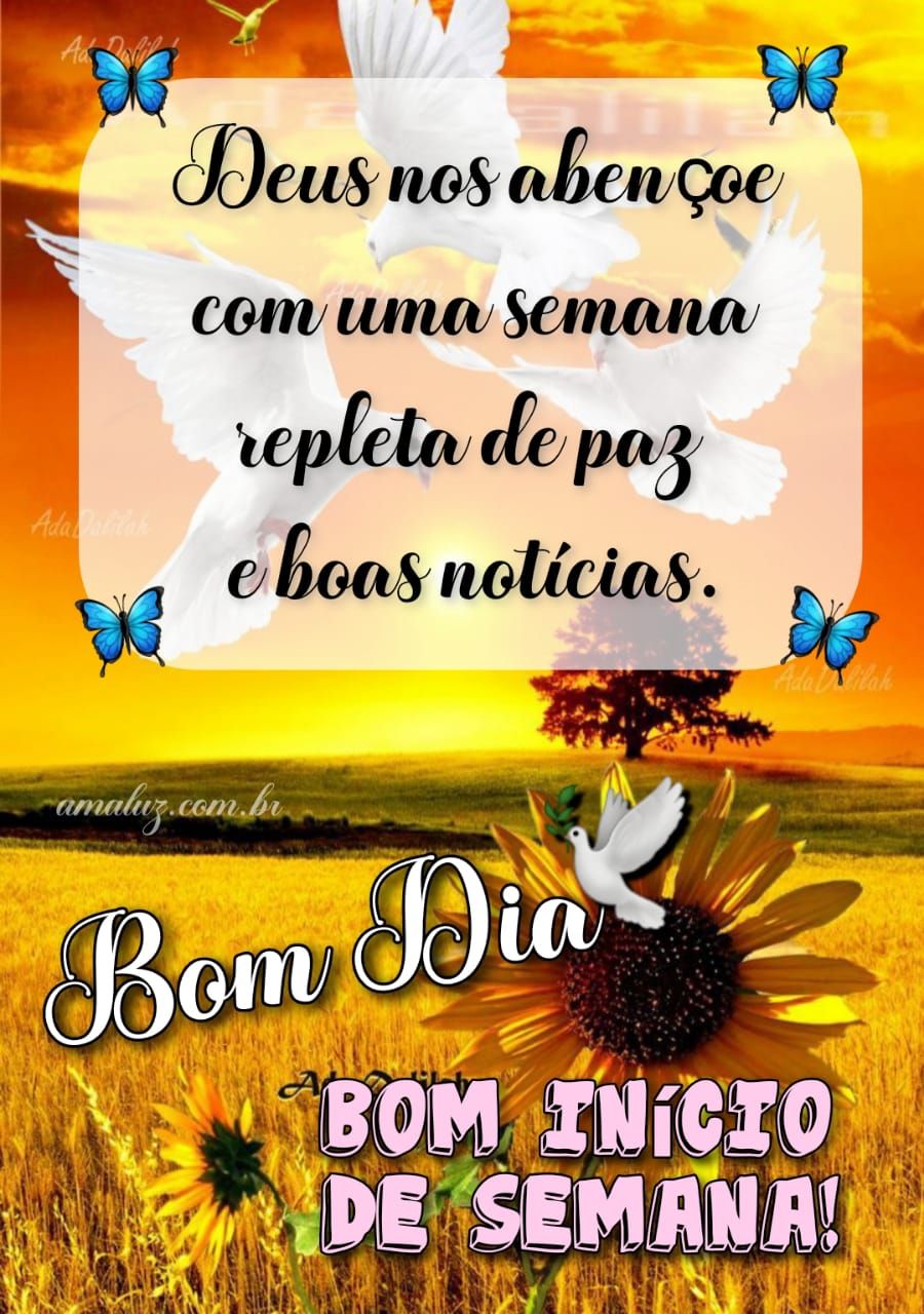 Bom inicio de semana