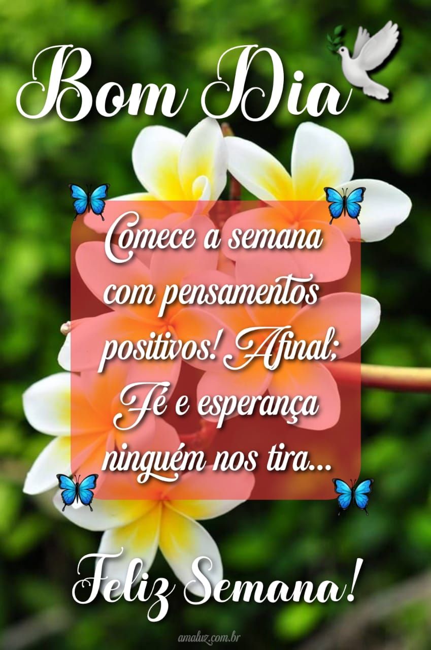 Comece a semana com pensamentos positivos