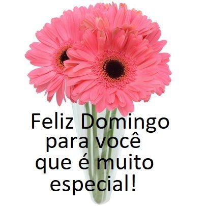 Feliz domingo para você que é muito especial