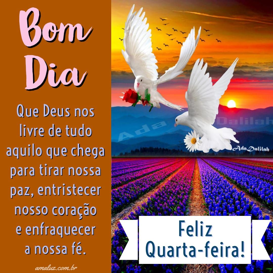 Feliz quarta feira bom dia