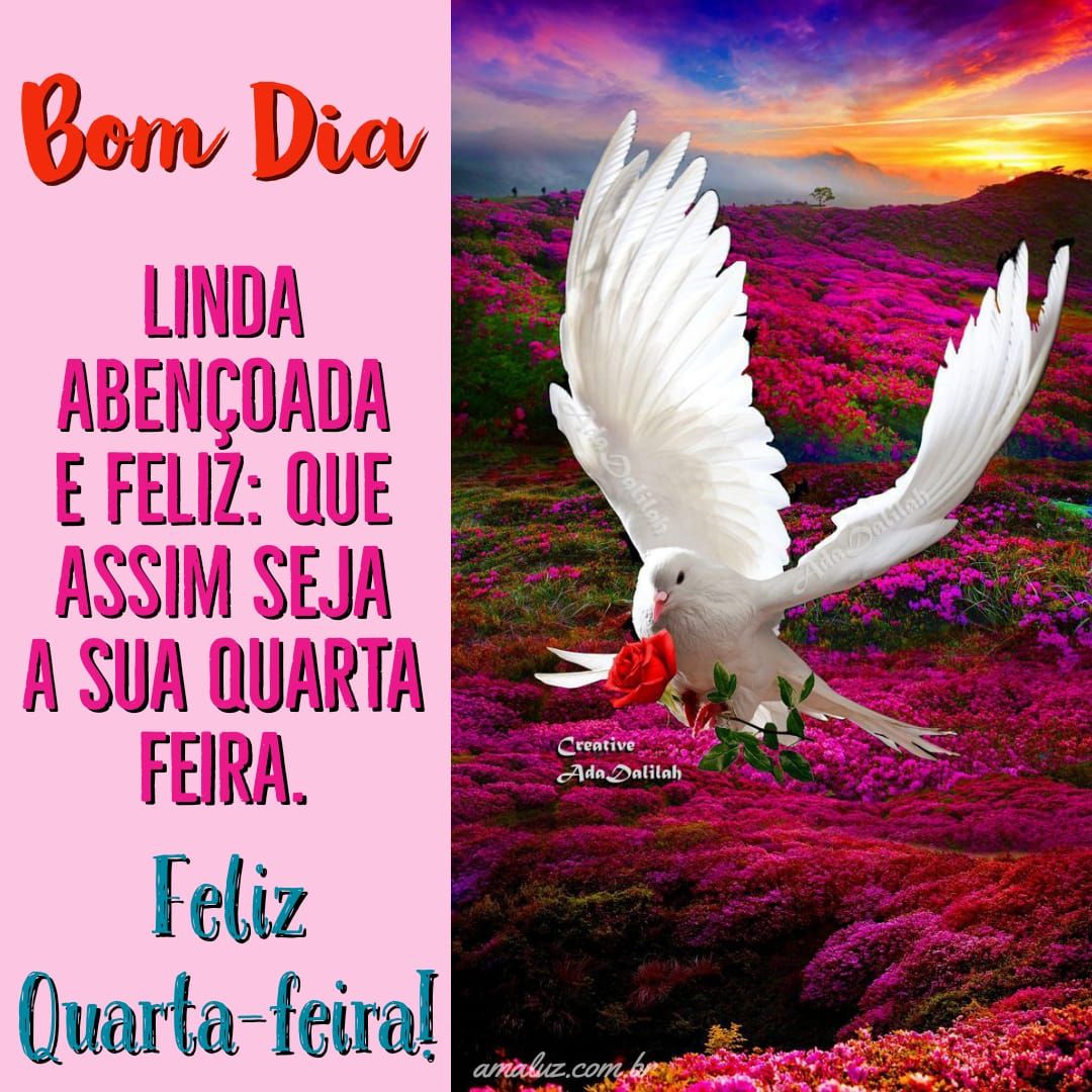 Fotos com pássaros e bom dia quarta feira