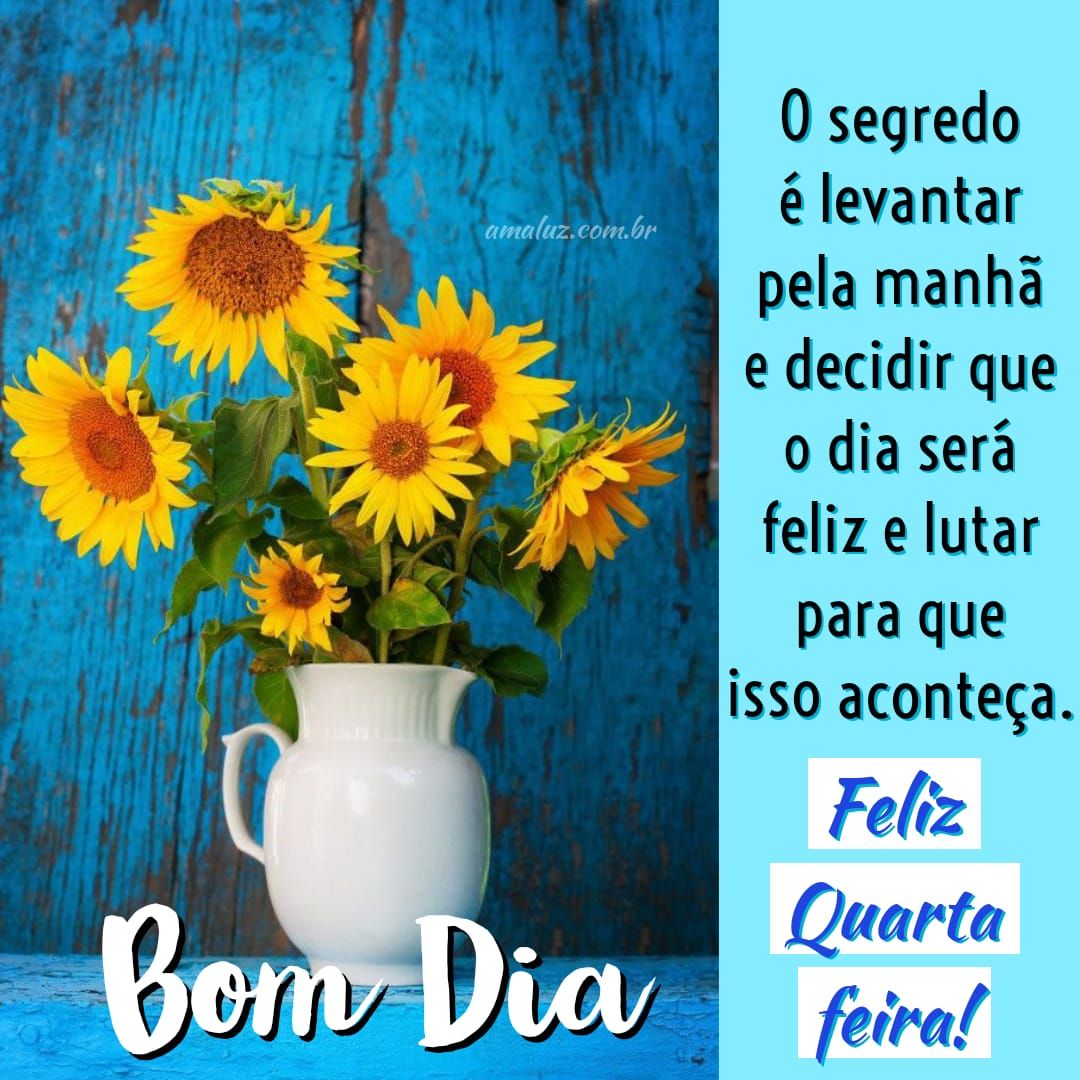 Fotos maravilhosas de bom dia quarta feira