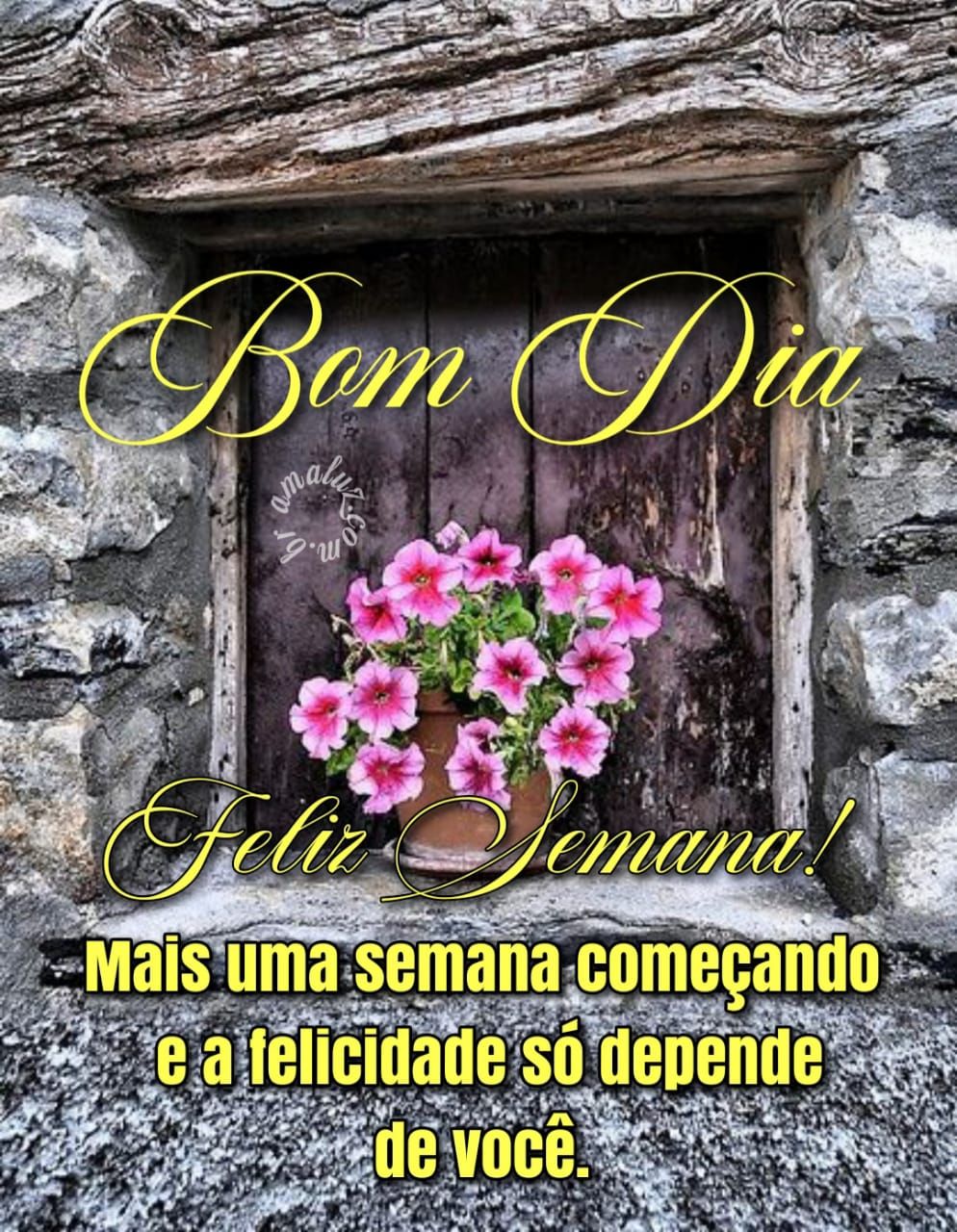 Mais uma semana começando bom dia