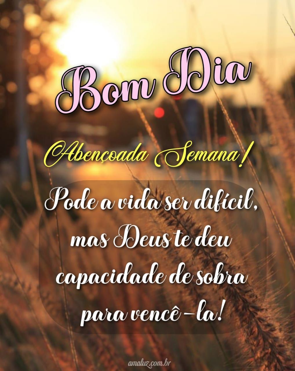 O dia começou bom dia