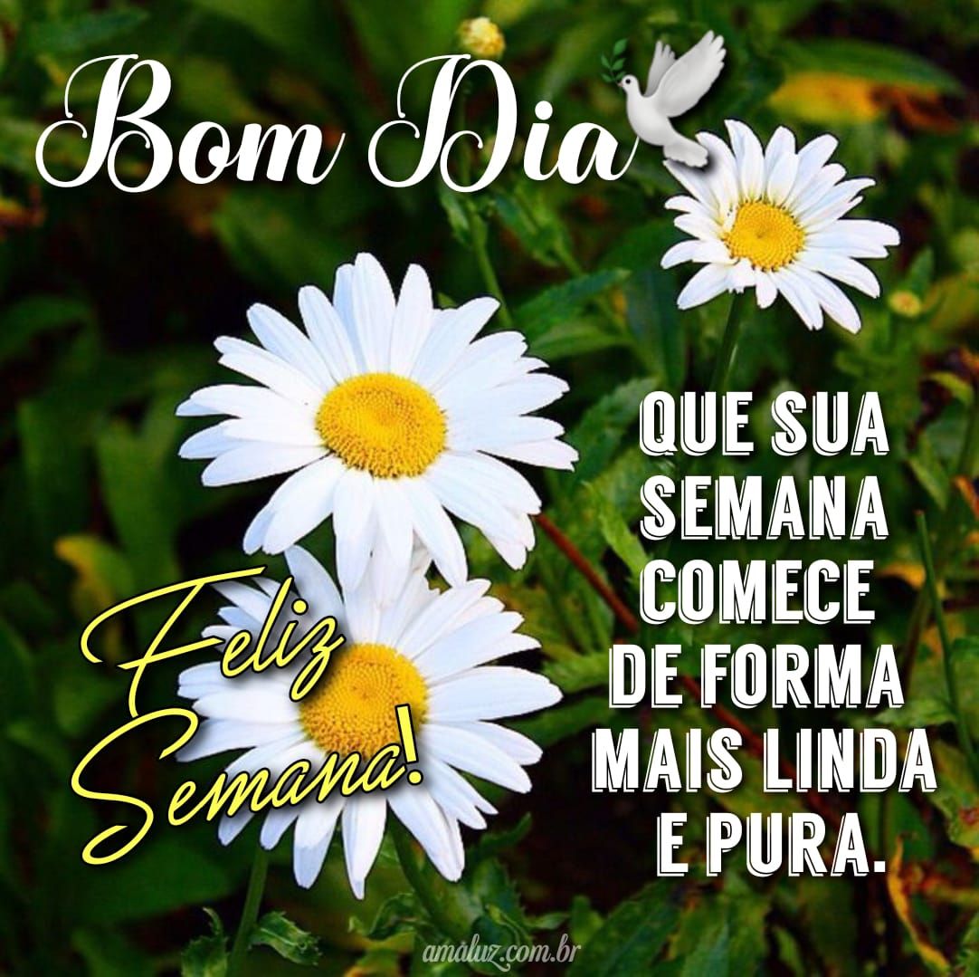 Que sua semana comece de forma pura