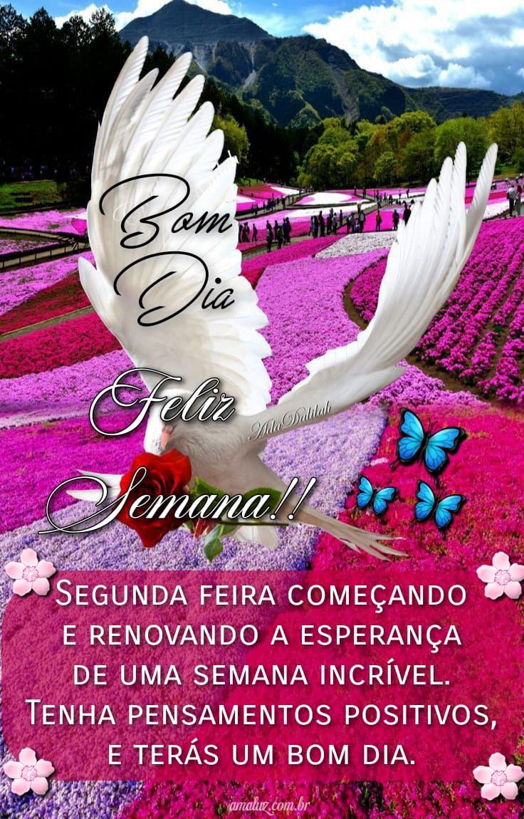 Que você tenha um bom dia e uma feliz semana