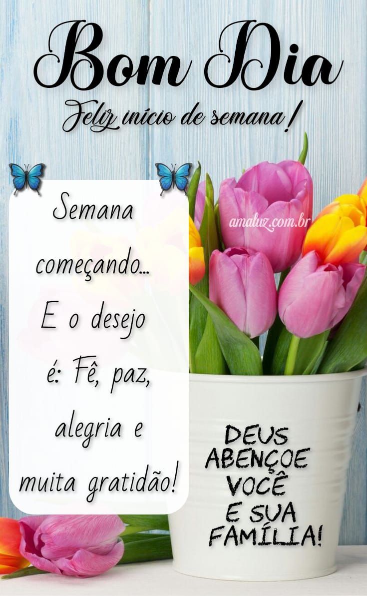 Semana começando bom dia