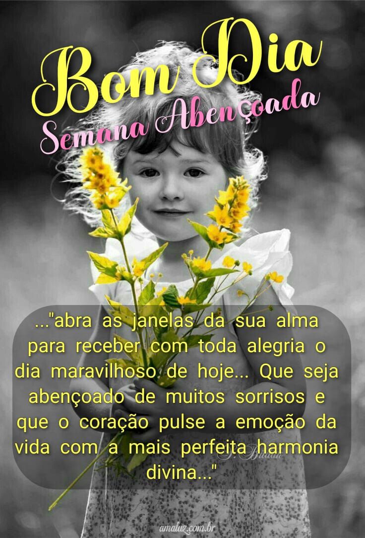 Te desejo um bom dia abençoado