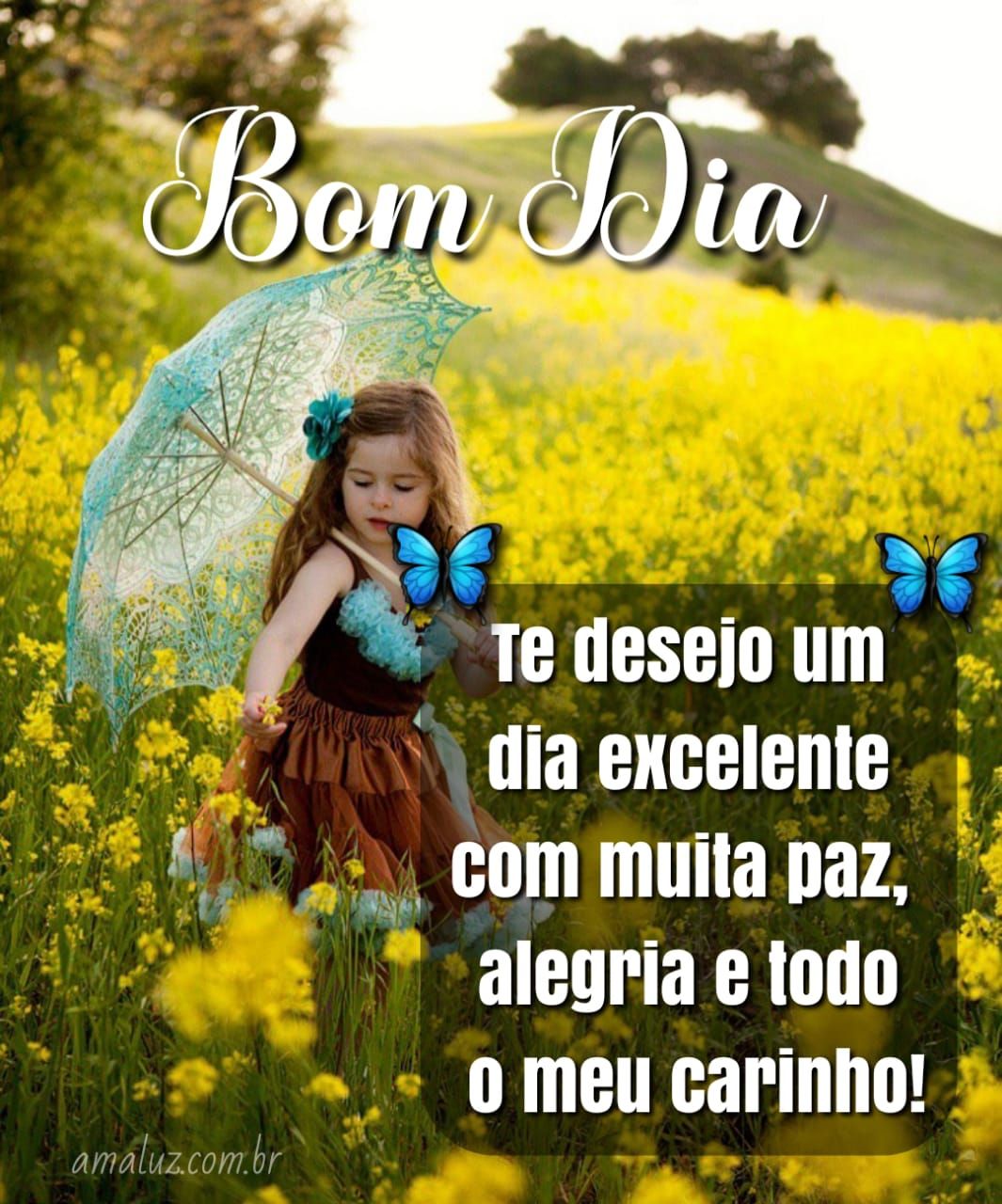 Te desejo um dia excelente bom dia