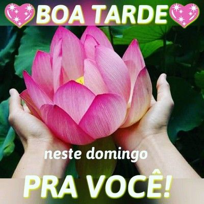Boa tarde neste domingo especial para você