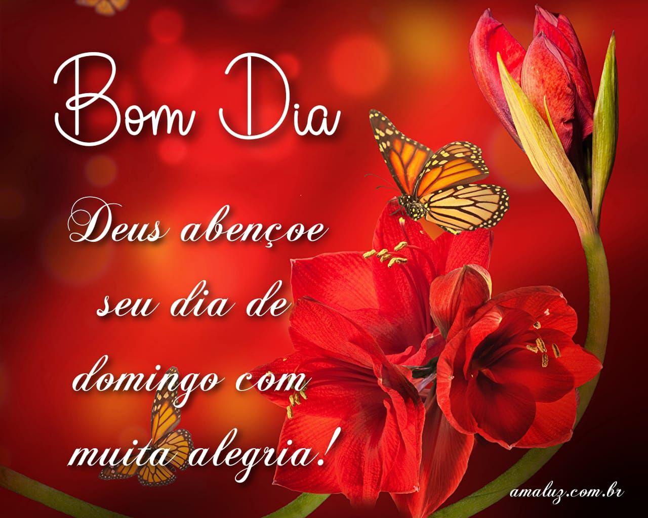 Bom dia de domingo abençoado