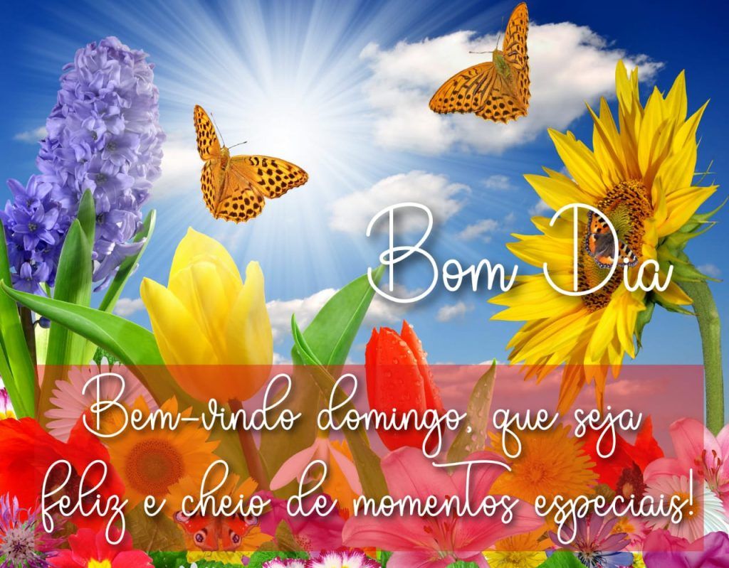 Bom dia domingo especial