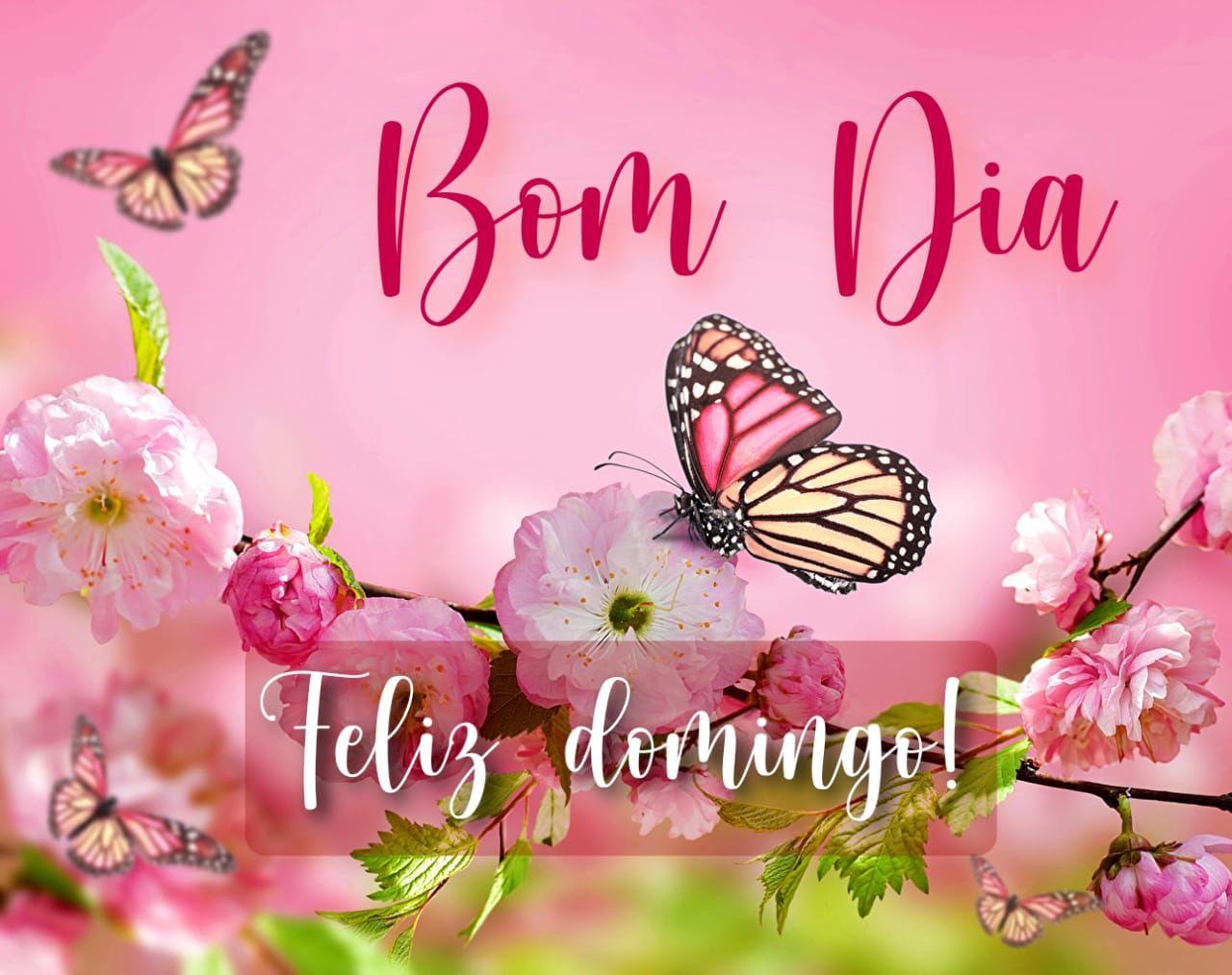 Bom dia feliz domingo