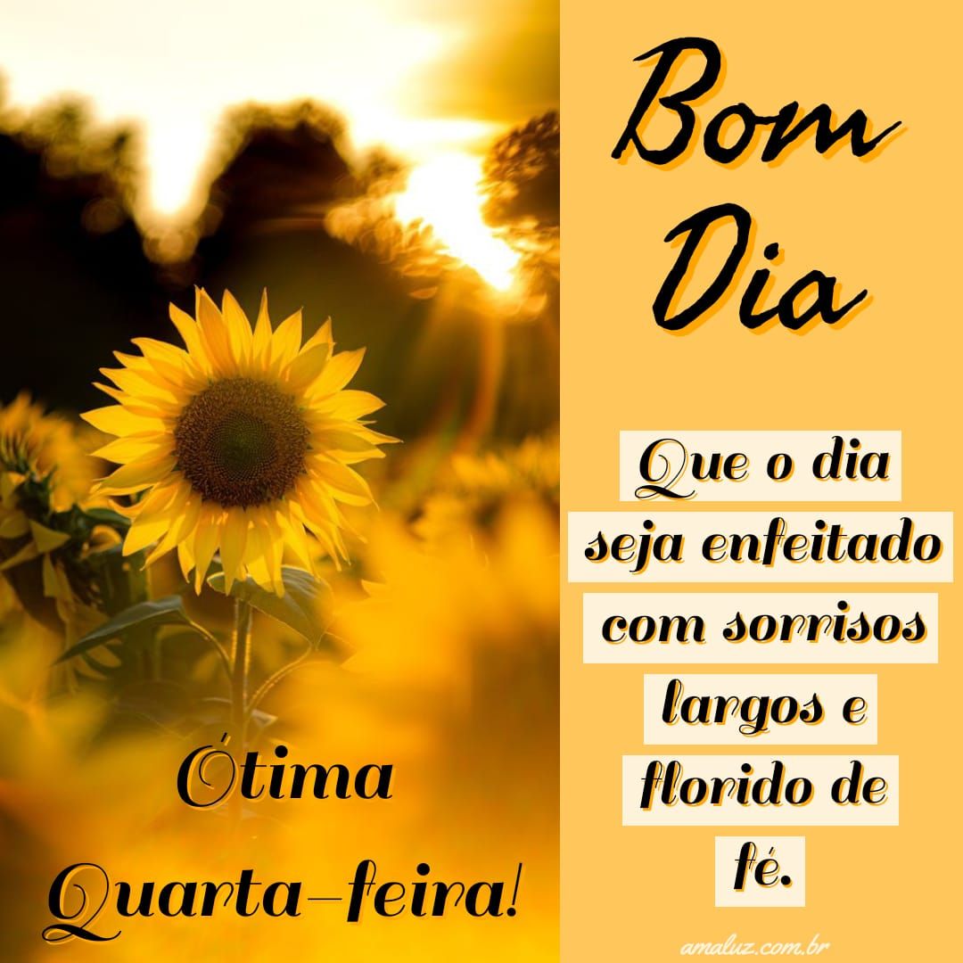 Bom dia tenha uma ótima quarta feira
