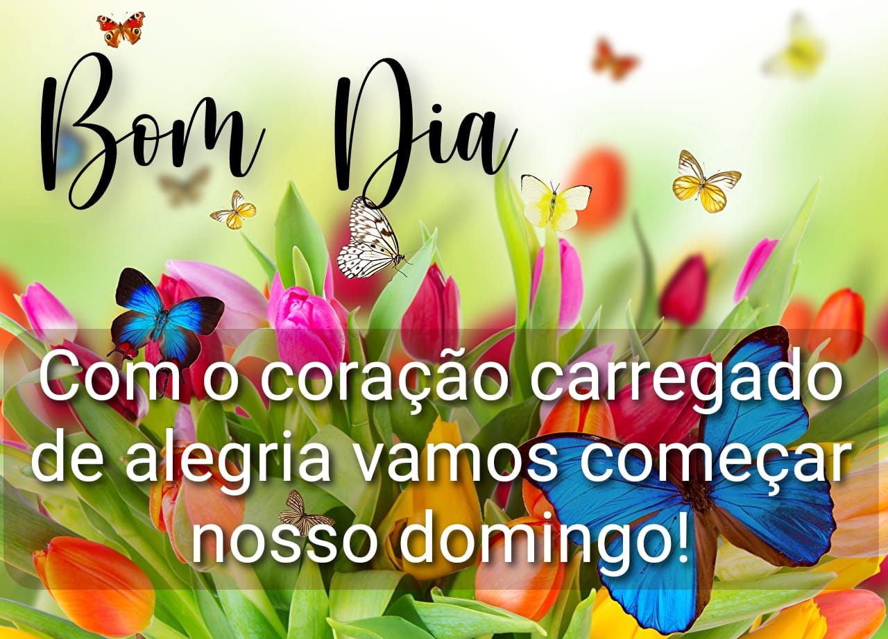 Com alegria vamos começar o domingo bom dia