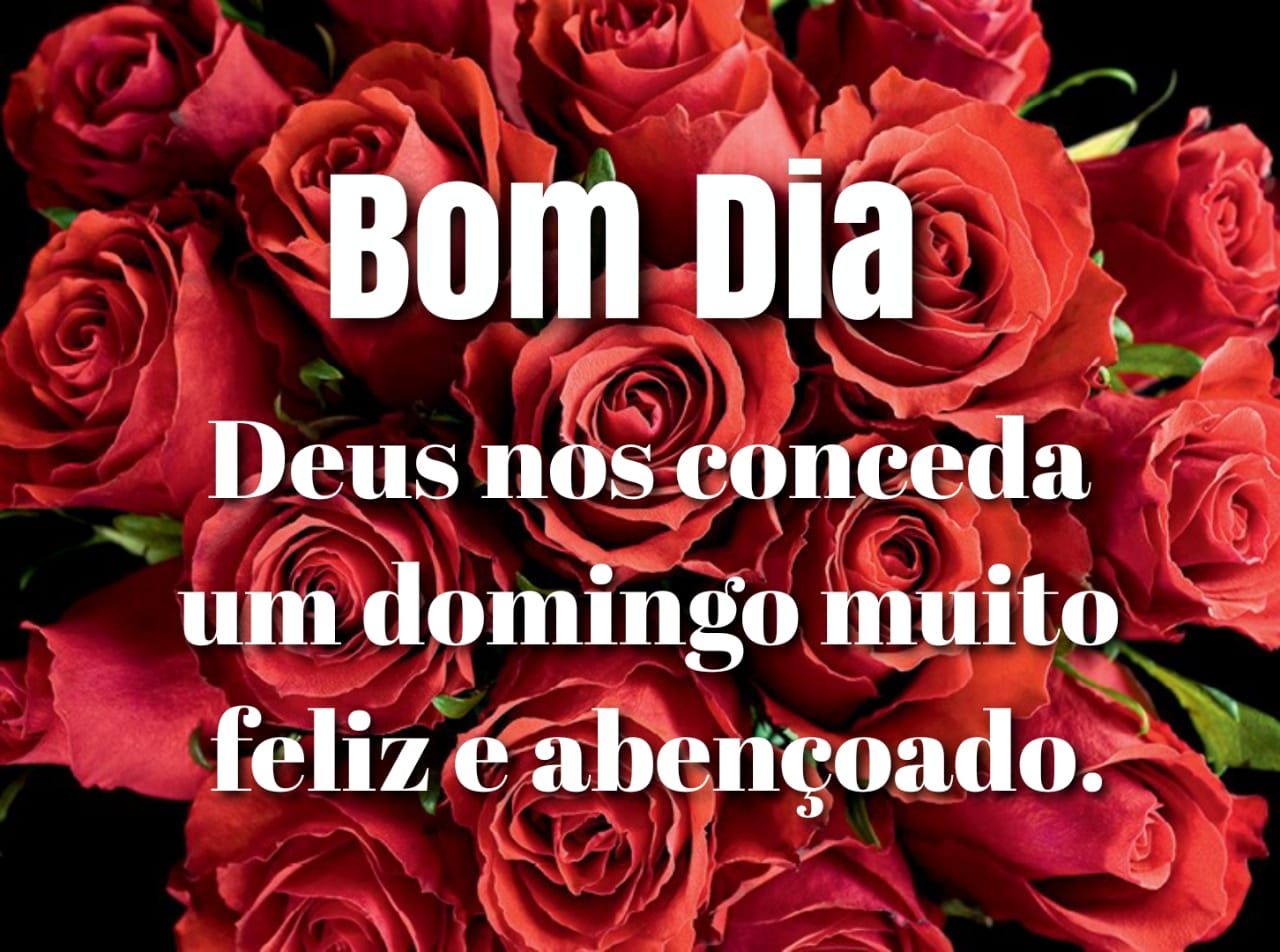 Deus nos conceda um domingo muito feliz bom dia