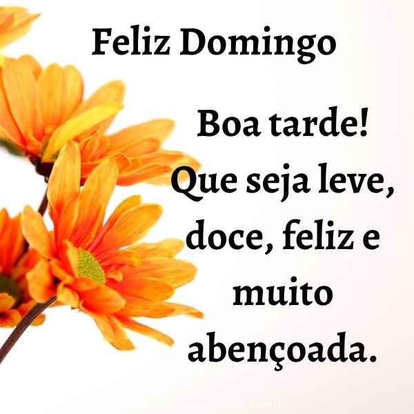 Feliz domingo boa tarde
