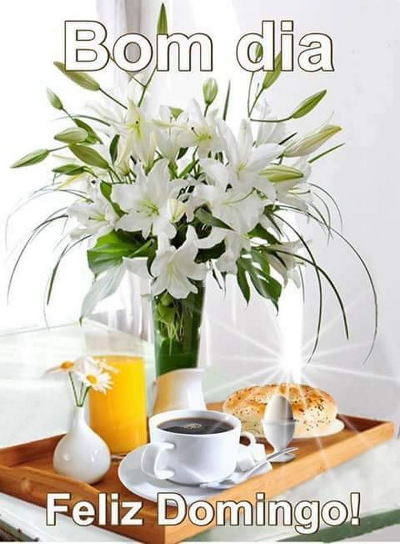 Feliz domingo bom dia